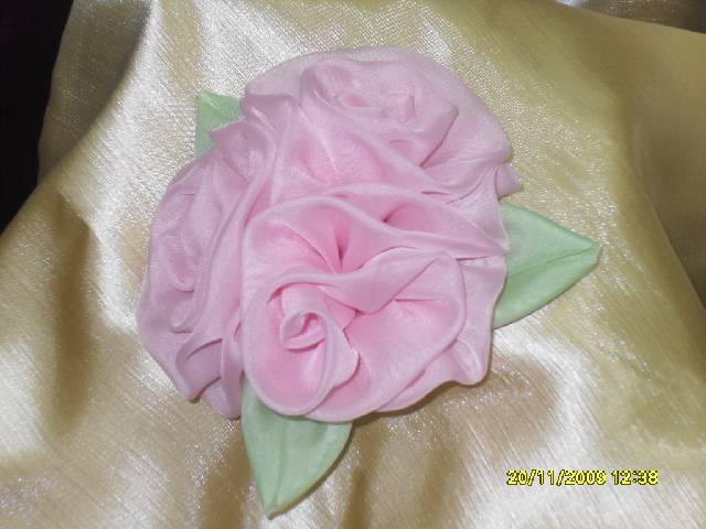SDC17213_conv.jpg