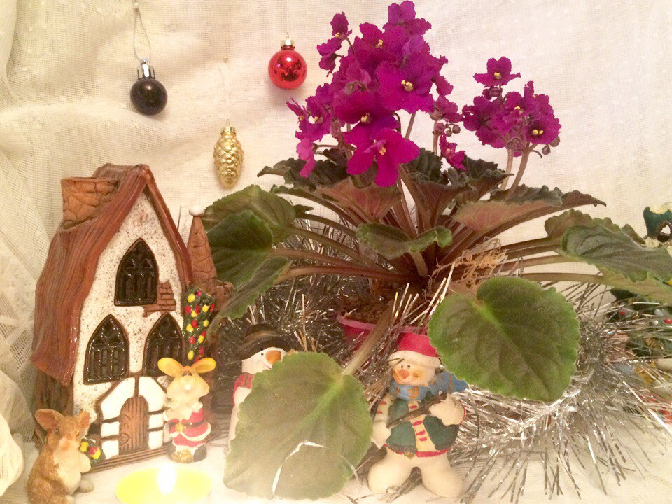 Jolly magic