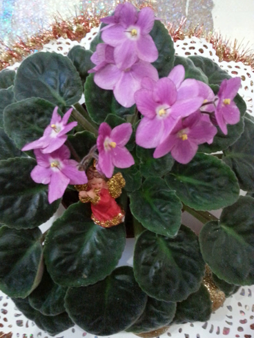 20180105_133006.jpg