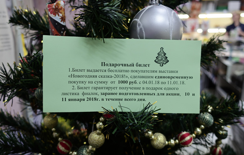 подарочный-билет.jpg