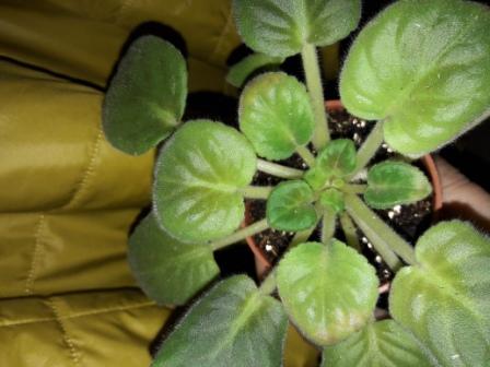 20180208_202045.jpg