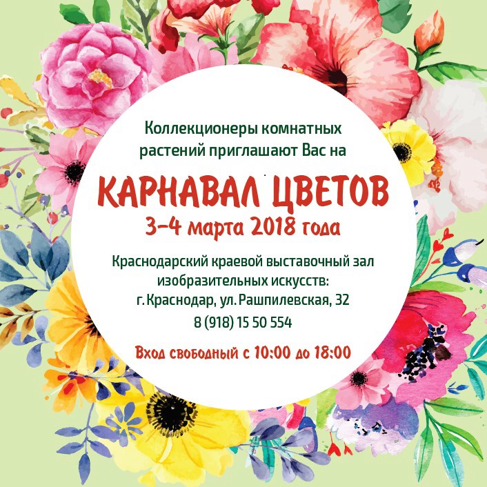 афиша.jpg