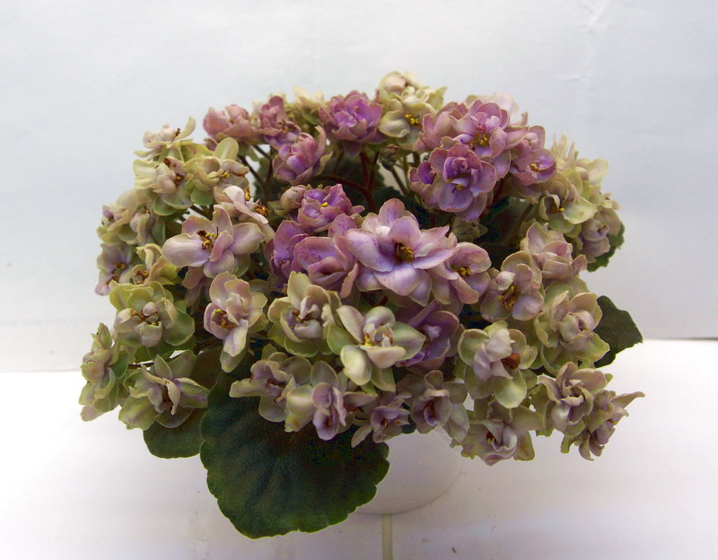 Morgan's Chutney Popcorn.jpg