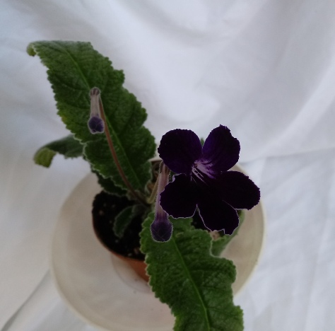 20180301_133531.jpg