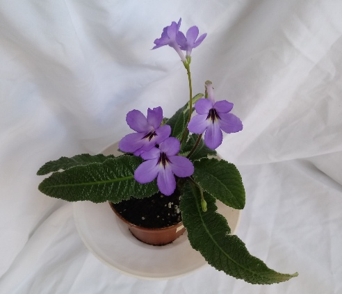 20180301_133331.jpg