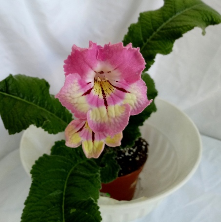 20180301_133618.jpg