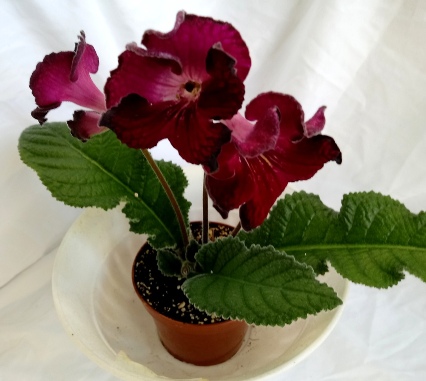 20180301_133638.jpg