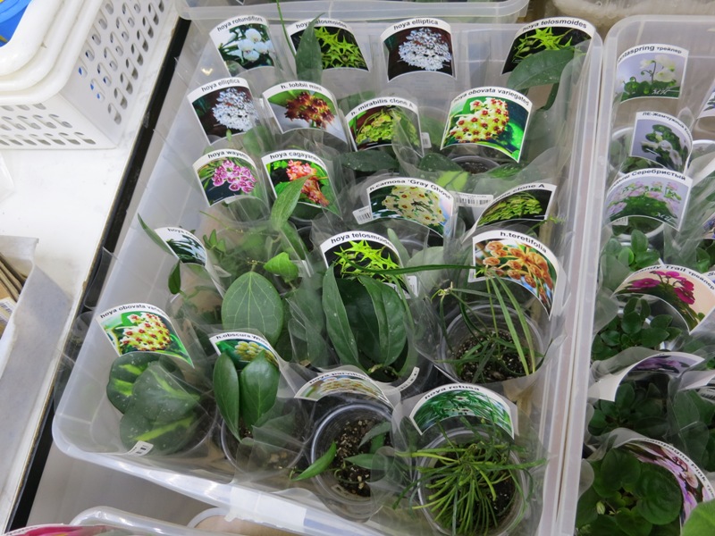 IMG_4080.JPG