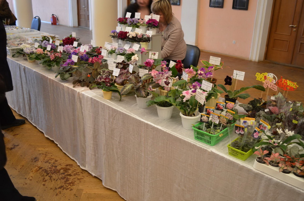 05дф.jpg