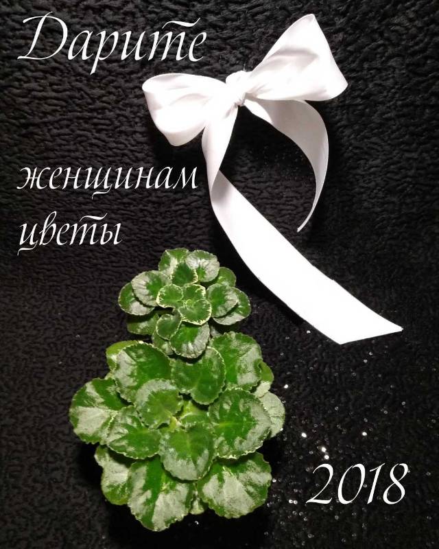 Оксана Павловна 1.jpg