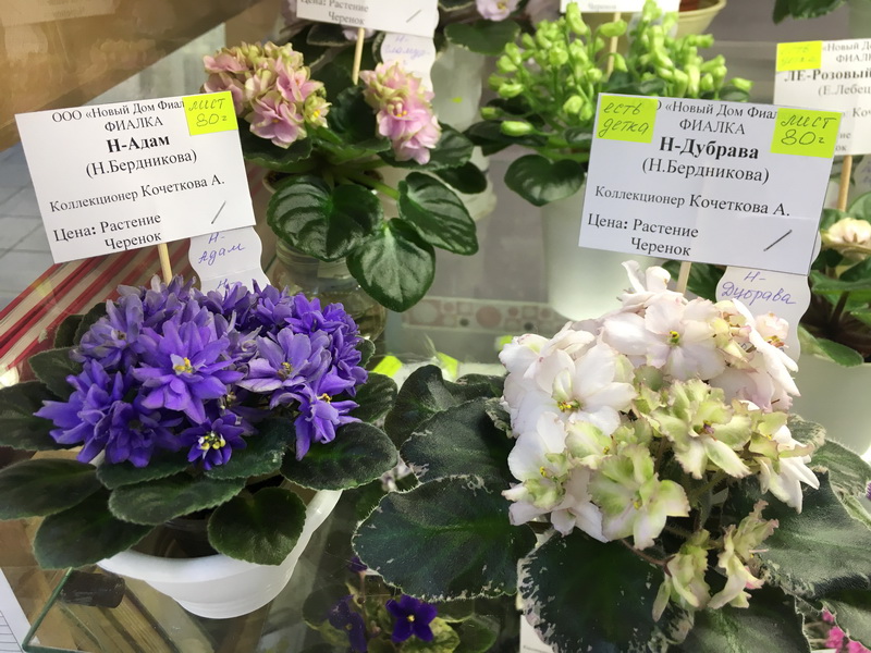 IMG_1741.JPG