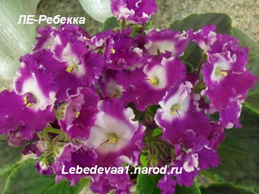 Очень яркий!