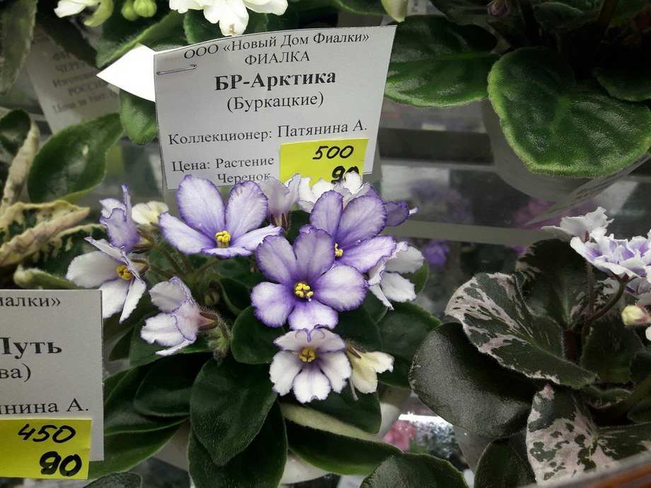 68дф.jpg