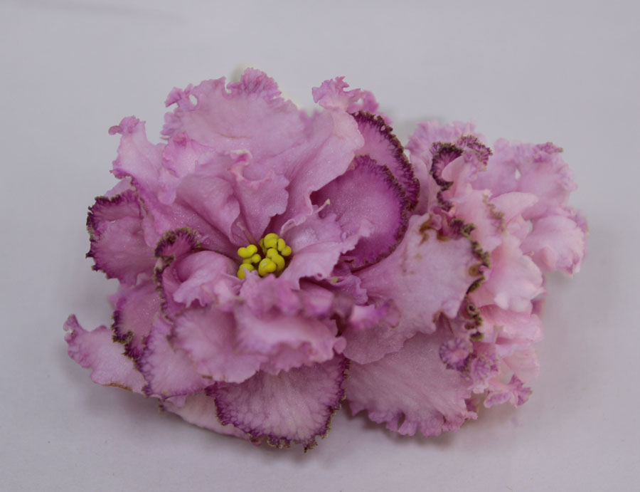 НД-Дойна Люкс