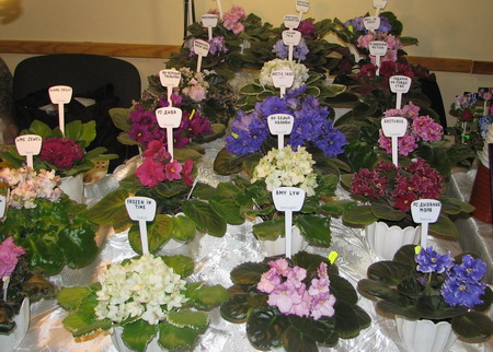 IMG_0401m.jpg