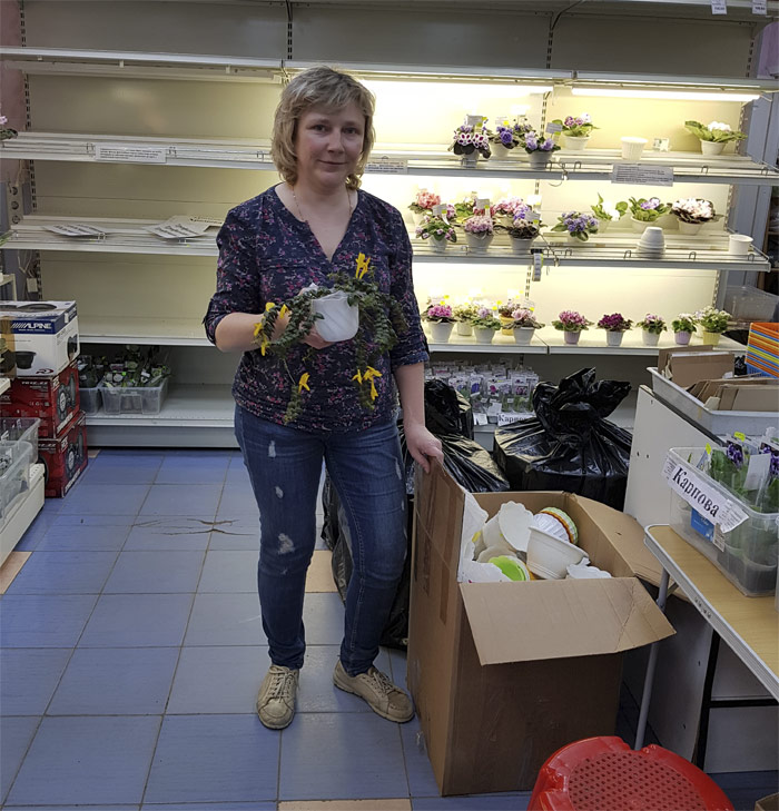 Лена Плессер