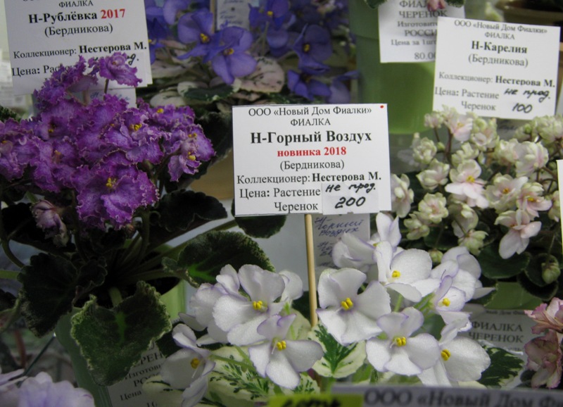 IMG_4705.JPG