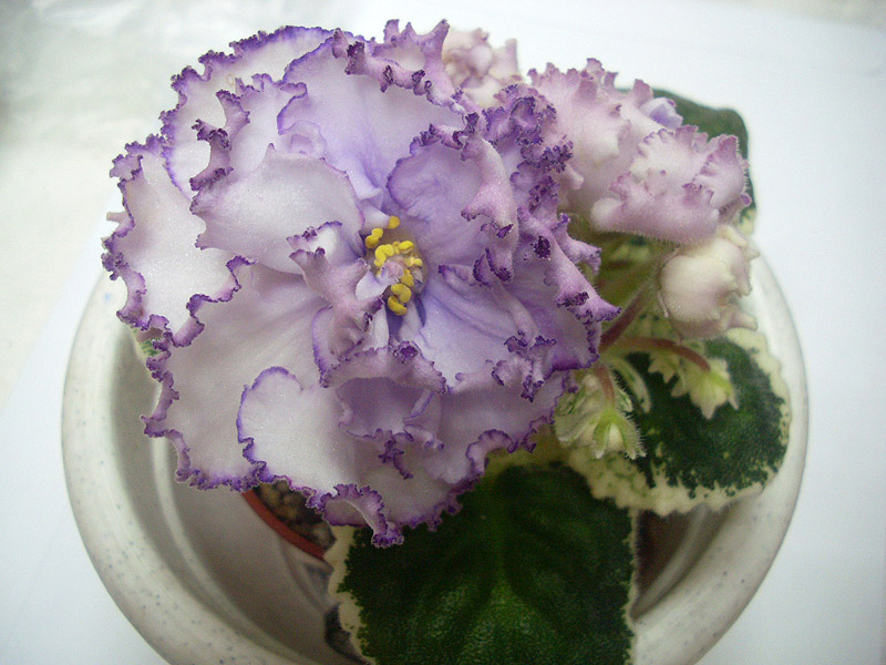 Dn-Султана(025).jpg