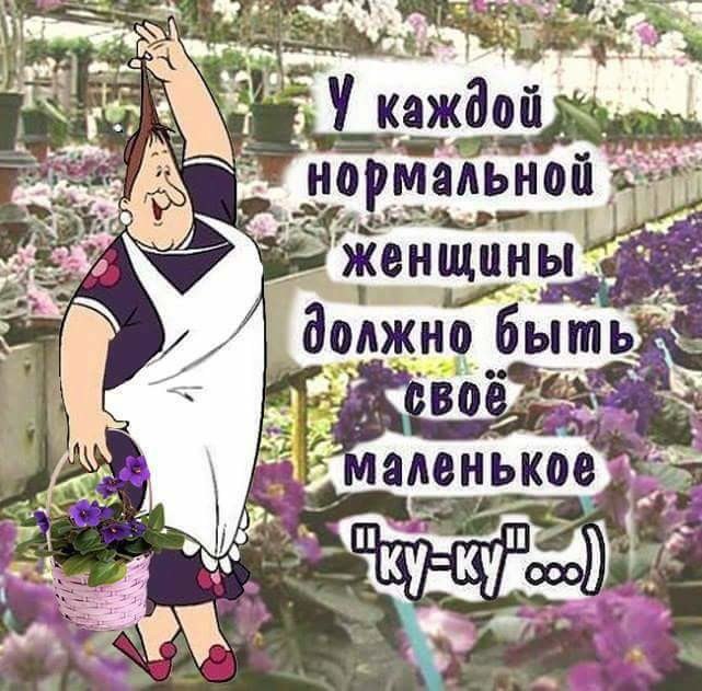 6PYpIgGU1ys.jpg
