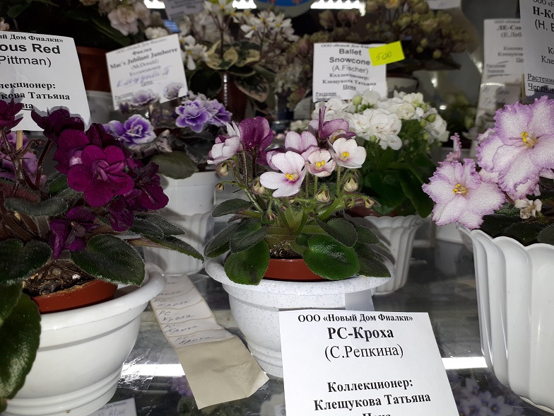 20180530_132447.jpg