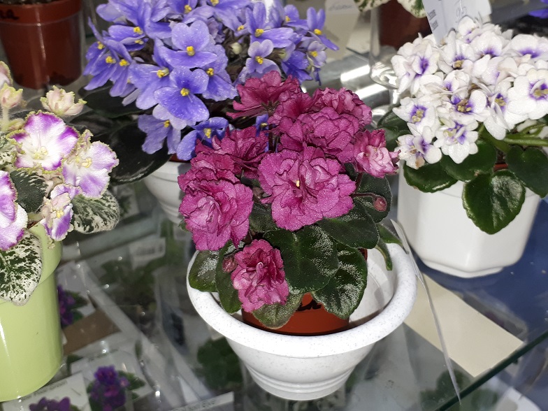 20180530_132852.jpg