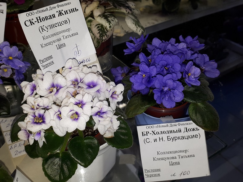 20180530_132903.jpg