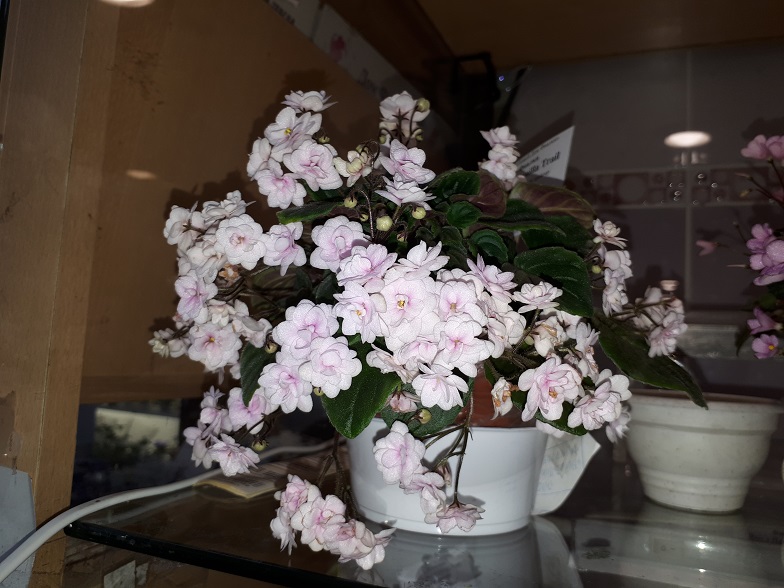 20180530_133108.jpg