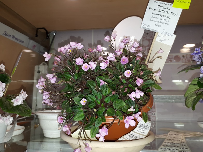 20180530_133121.jpg