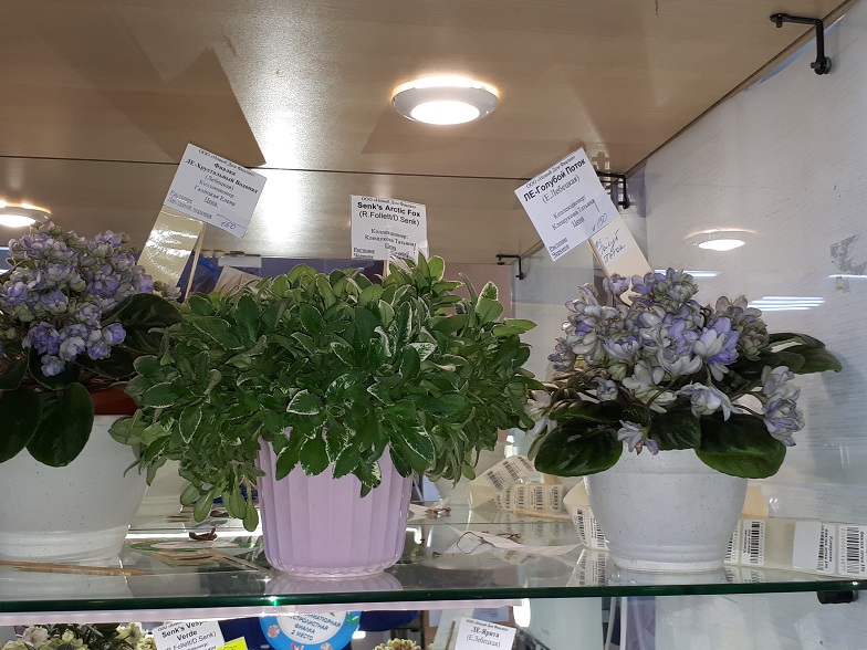 20180530_133205.jpg