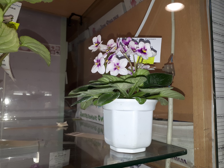 20180530_133256.jpg