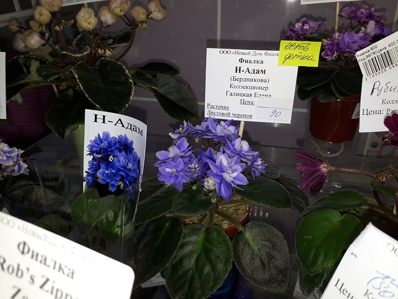 20180530_133352.jpg