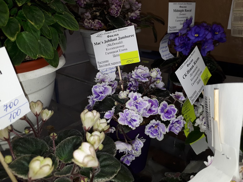 20180530_133531.jpg