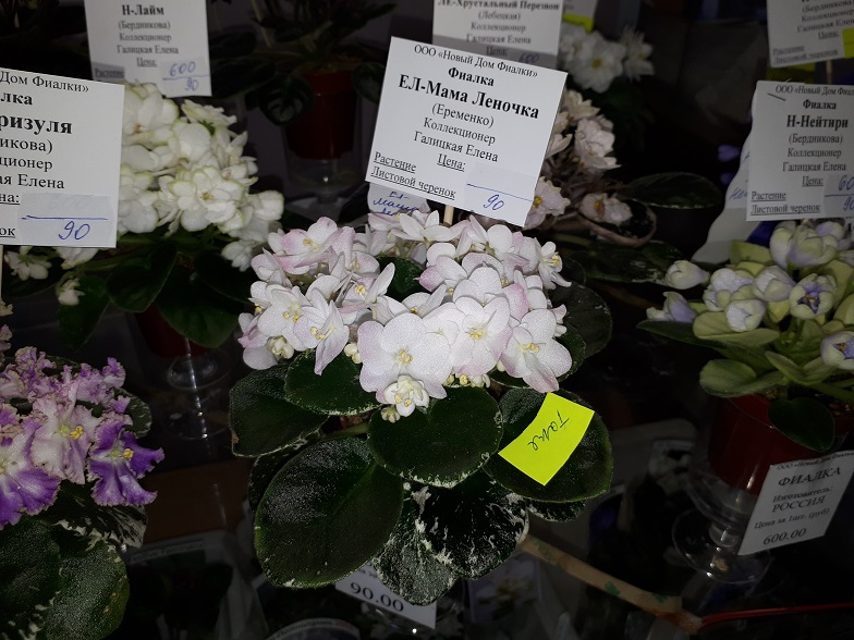 20180530_133740.jpg