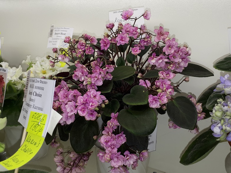 20180530_134138.jpg