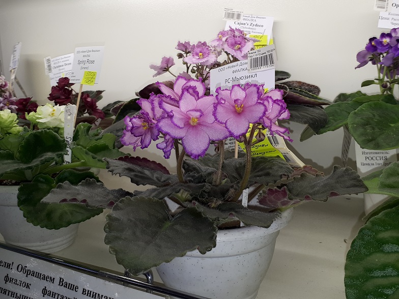 20180530_134158.jpg