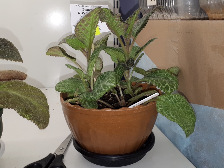 20180530_134251.jpg