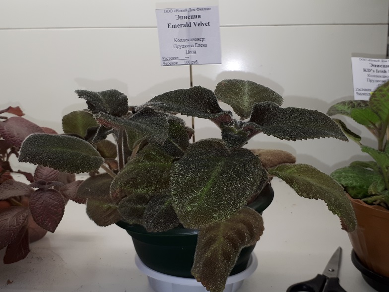 20180530_134256.jpg