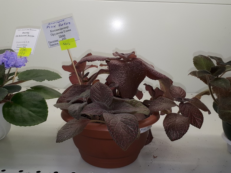 20180530_134315.jpg