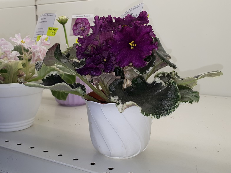 20180530_134346.jpg