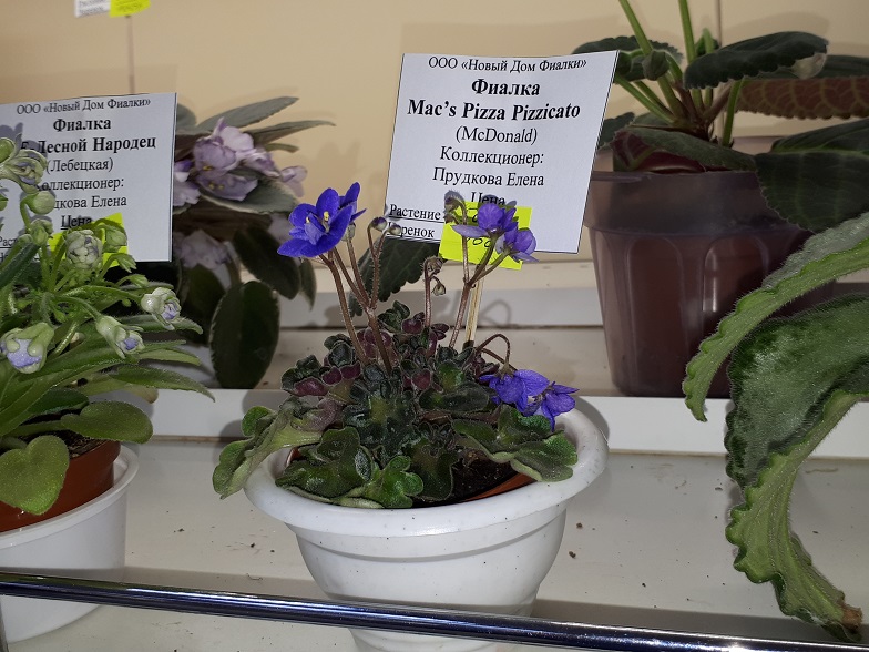 20180530_134455.jpg