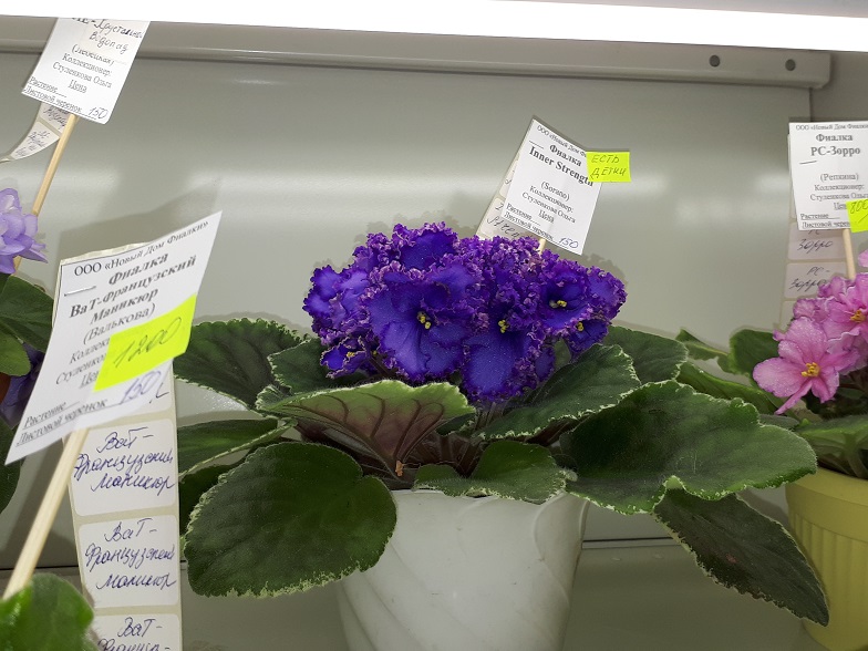 20180530_134640.jpg