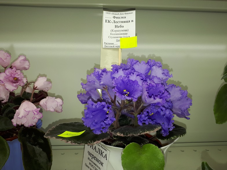 20180530_134753.jpg