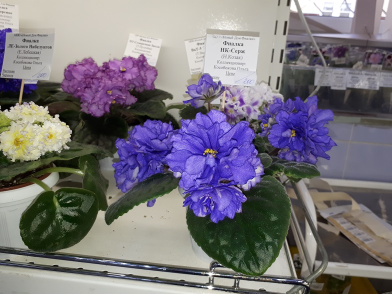 20180530_134925.jpg
