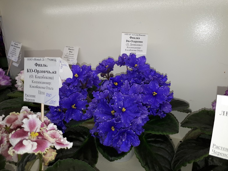 20180530_134941.jpg