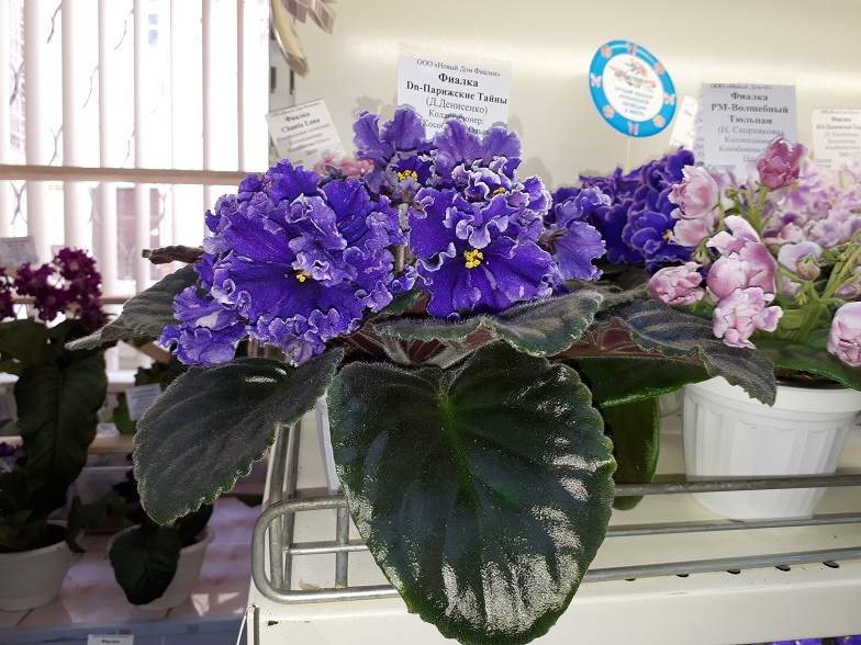 20180530_135020.jpg