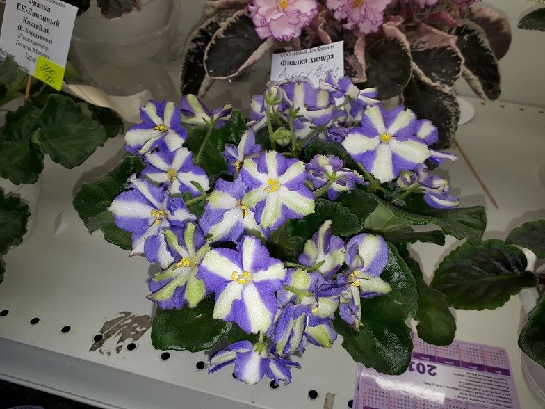 20180530_135358.jpg