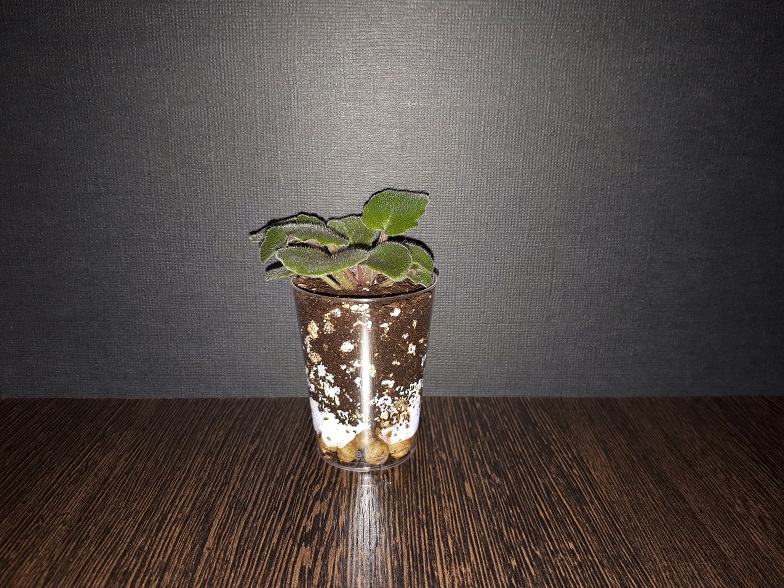 20180530_180223.jpg