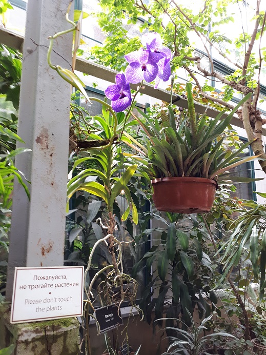 20170611_130951.jpg
