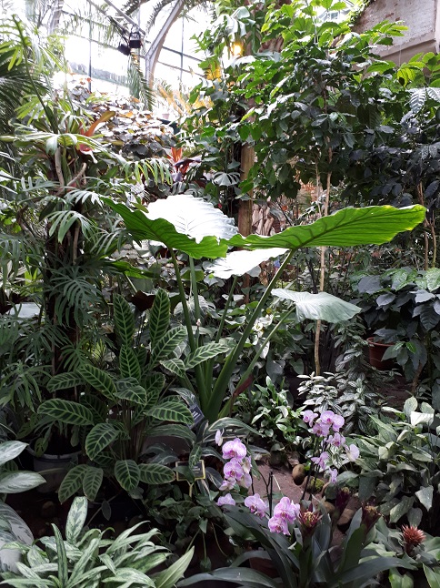 20170611_132012.jpg