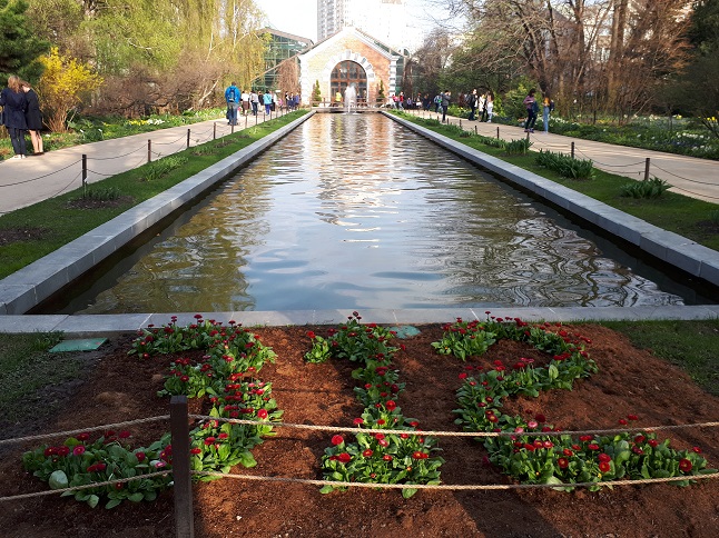 20180430_172337.jpg